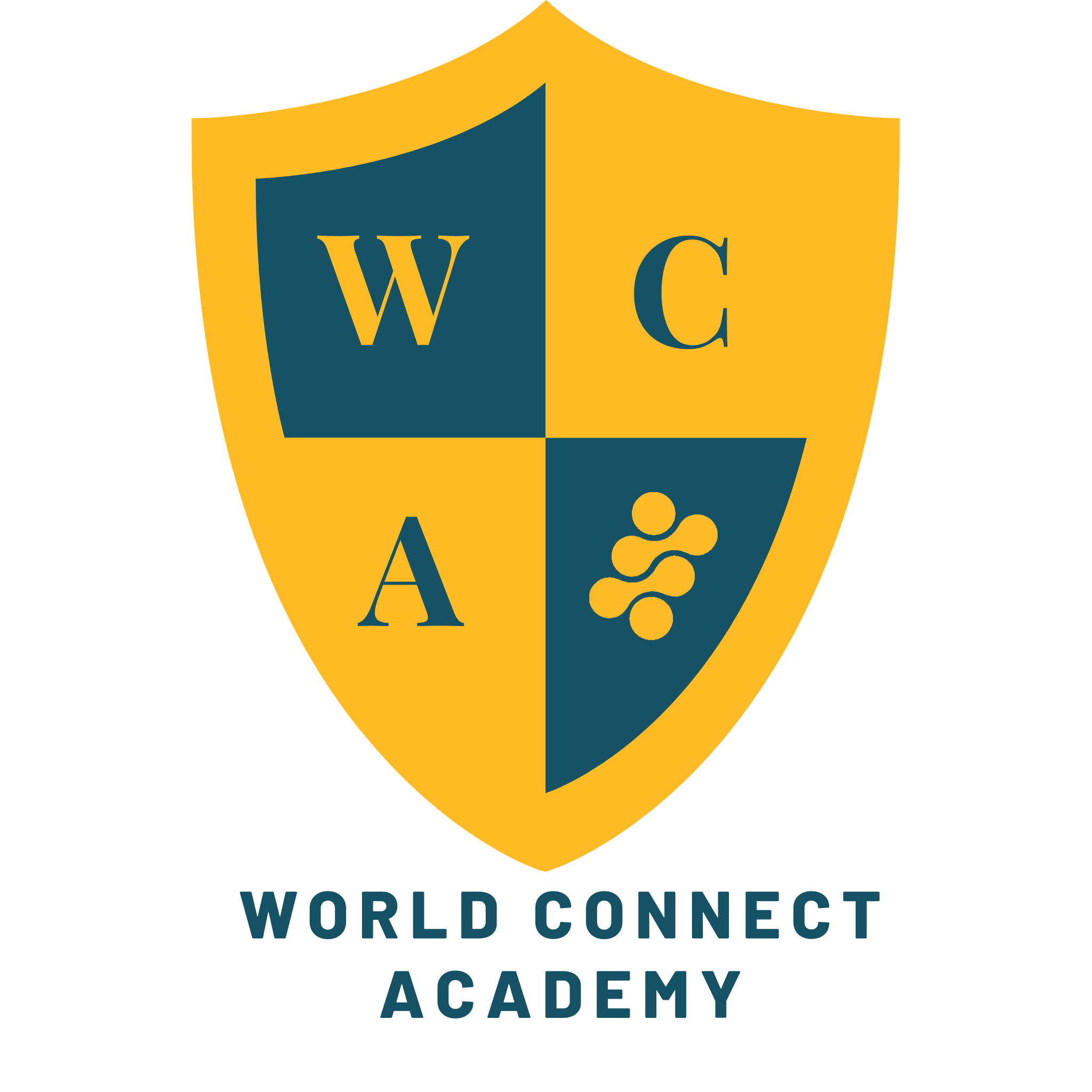 World Connect Academy (5)